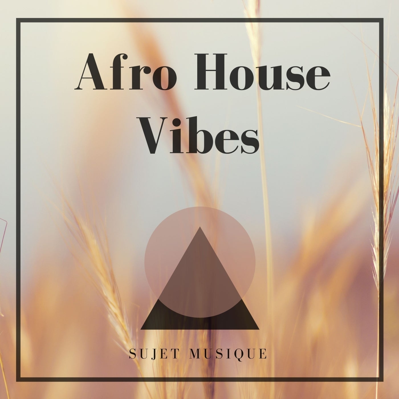 AFRO HOUSE VIBES [SMLP14]